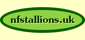 nfstallions.uk